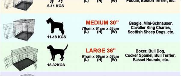 Small dog crate size dimensions