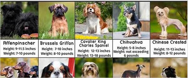 top 5 small sized dogs